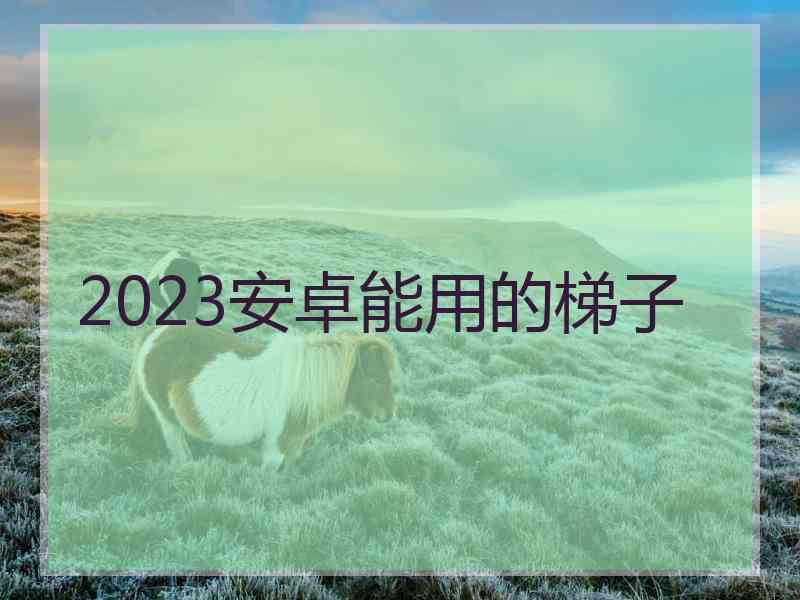 2023安卓能用的梯子