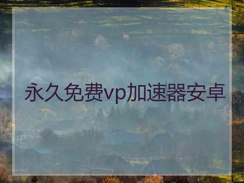 永久免费vp加速器安卓