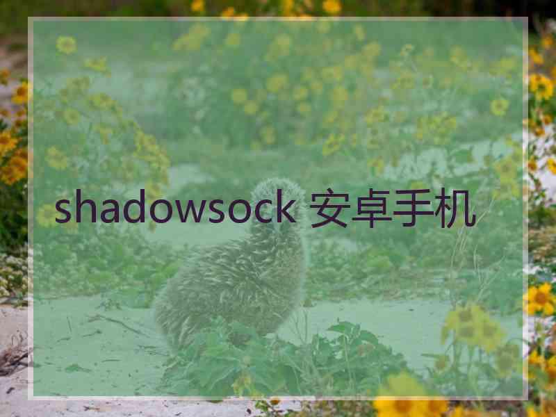 shadowsock 安卓手机