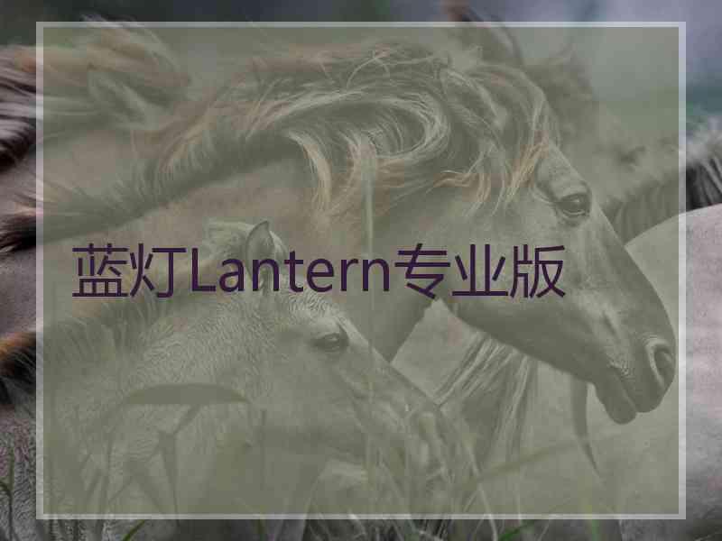 蓝灯Lantern专业版