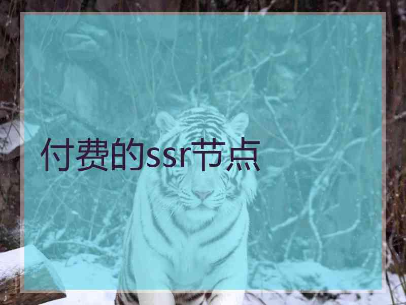 付费的ssr节点