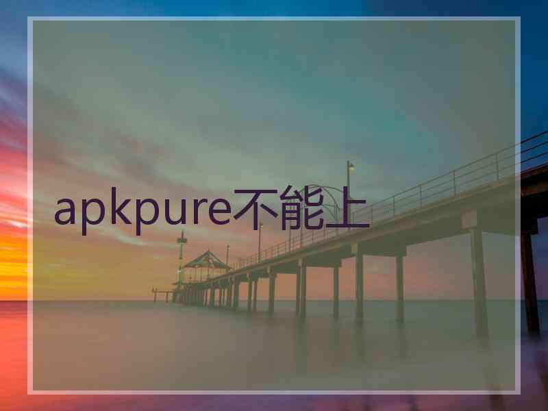 apkpure不能上