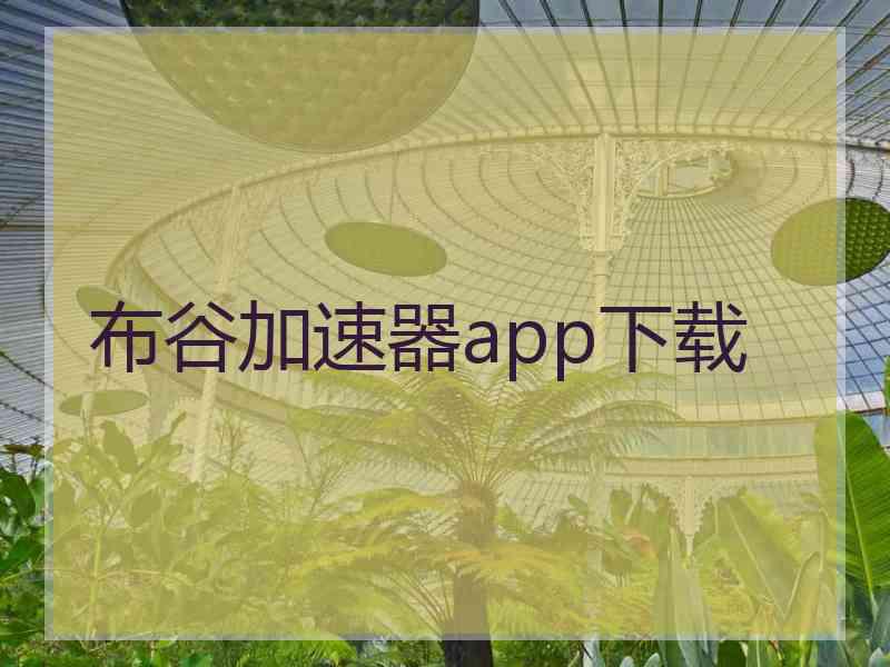 布谷加速器app下载