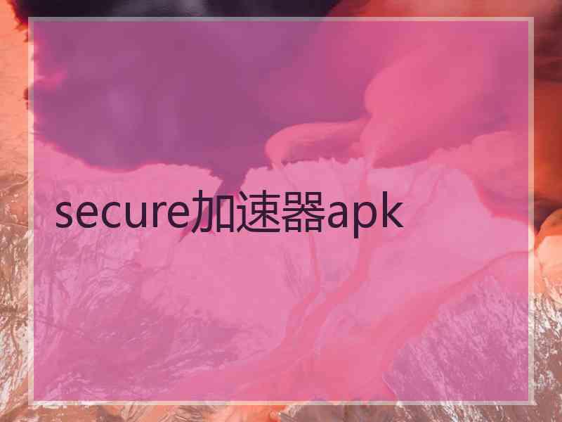 secure加速器apk