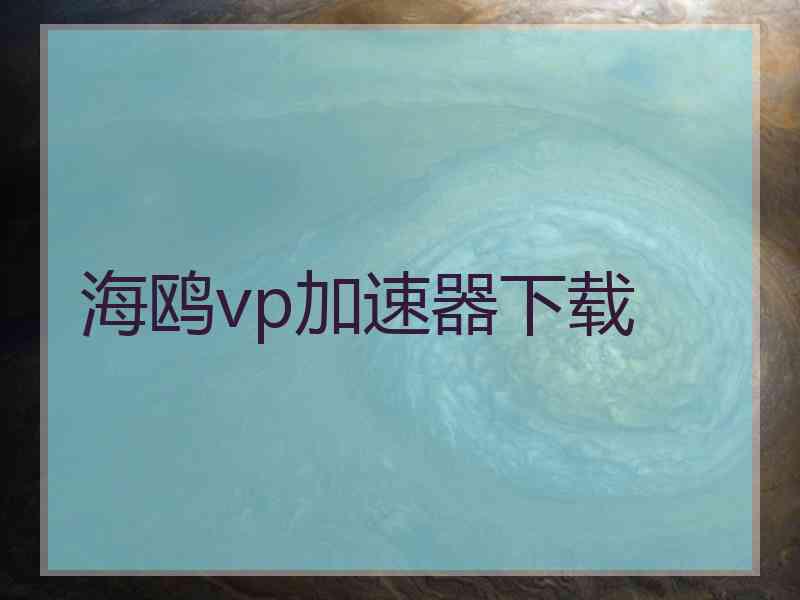 海鸥vp加速器下载