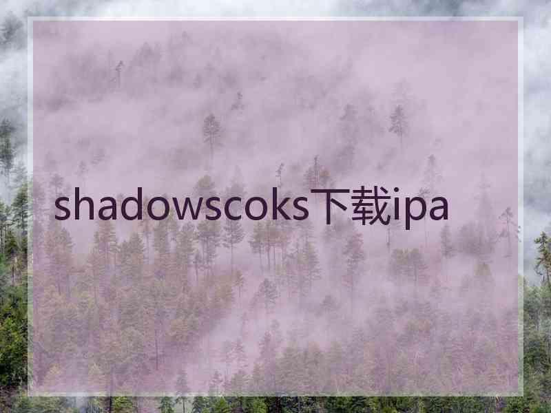 shadowscoks下载ipa