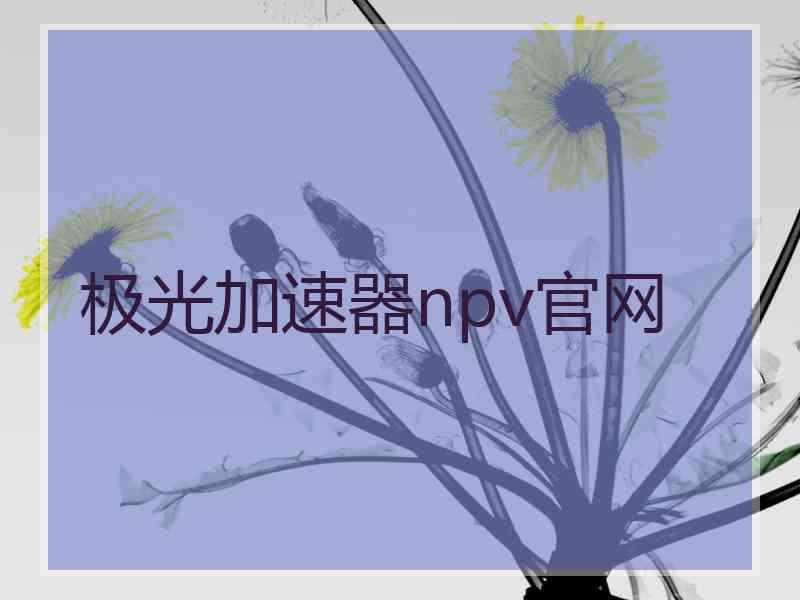 极光加速器npv官网