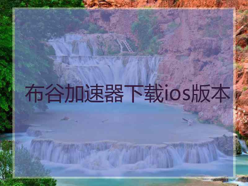 布谷加速器下载ios版本