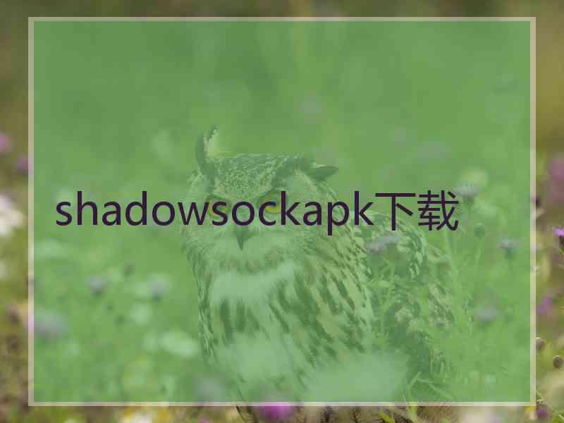 shadowsockapk下载