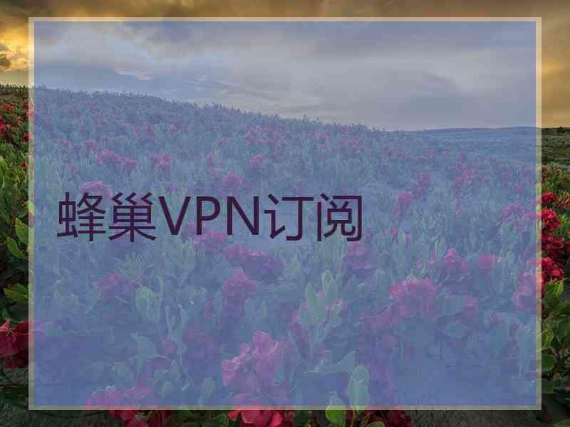 蜂巢VPN订阅