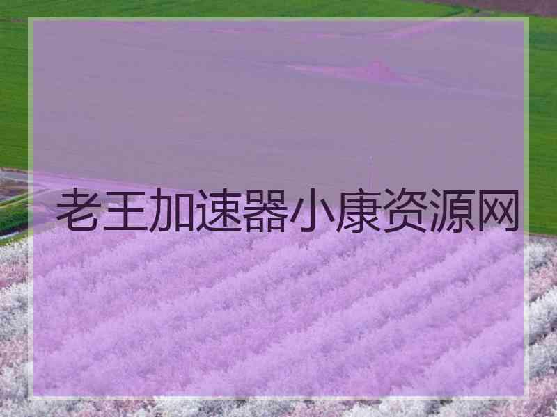 老王加速器小康资源网