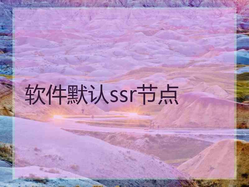 软件默认ssr节点