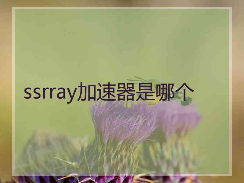 ssrray加速器是哪个