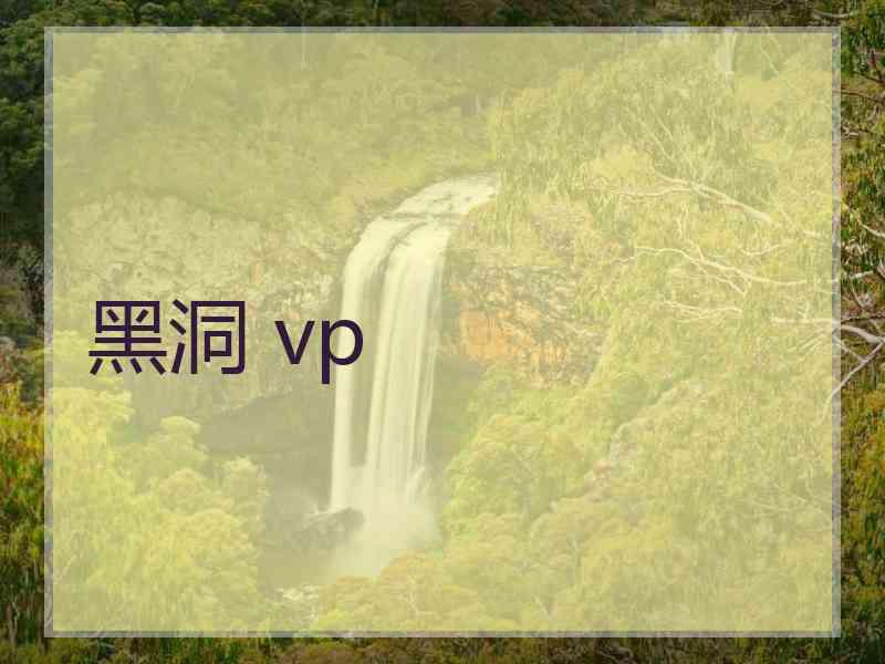 黑洞 vp