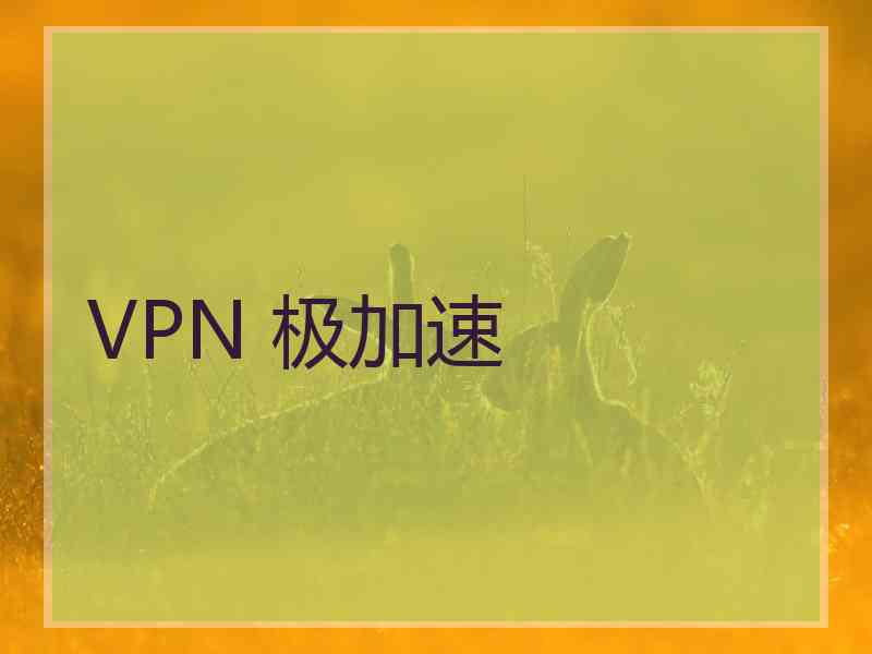 VPN 极加速