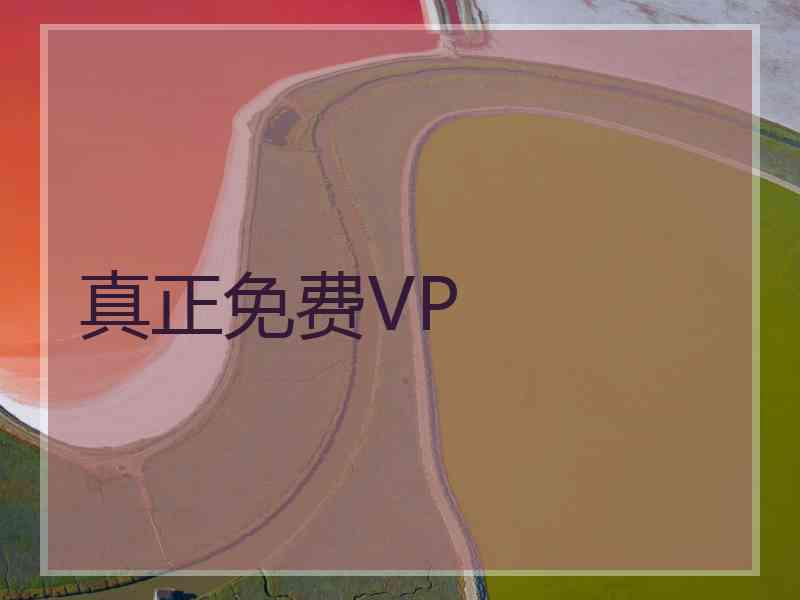 真正免费VP