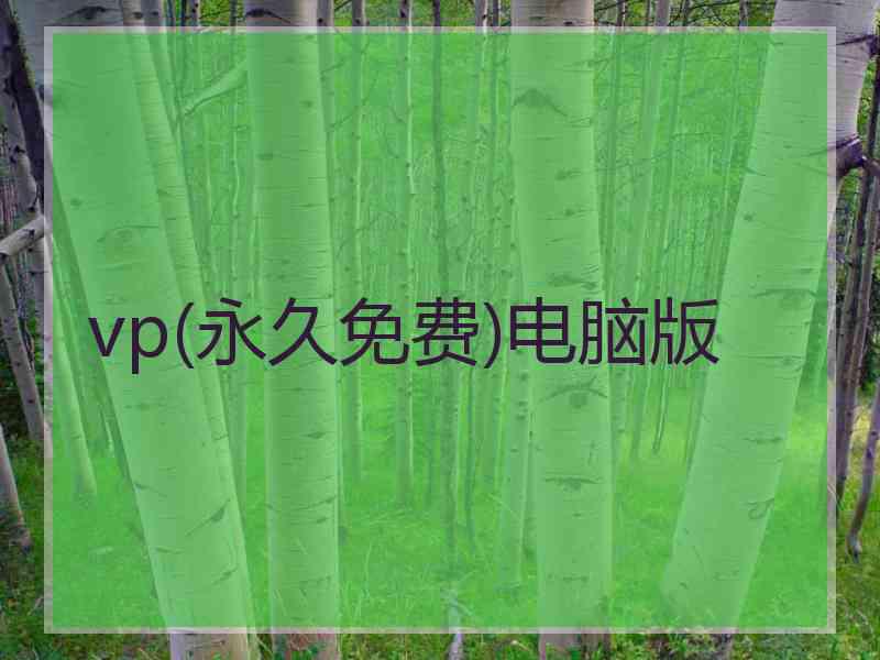 vp(永久免费)电脑版