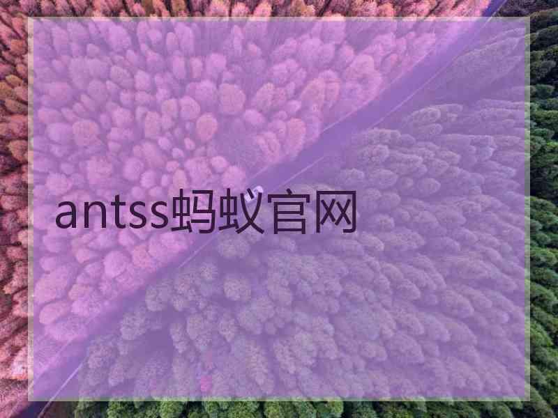 antss蚂蚁官网