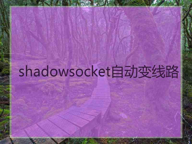 shadowsocket自动变线路