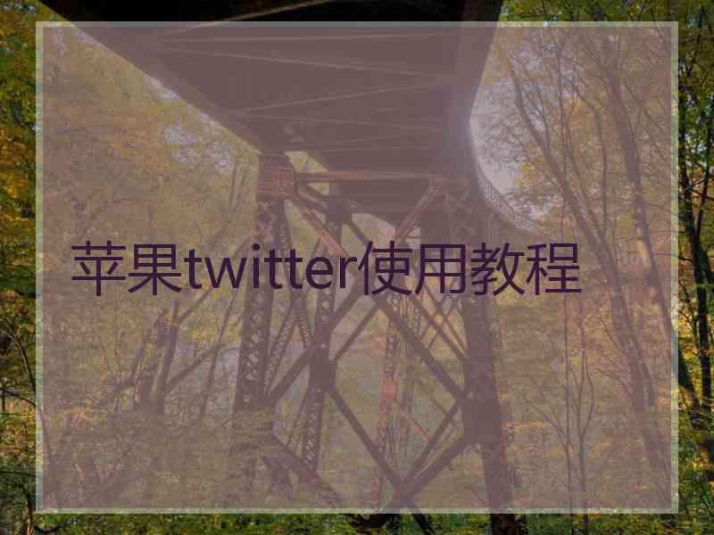 苹果twitter使用教程