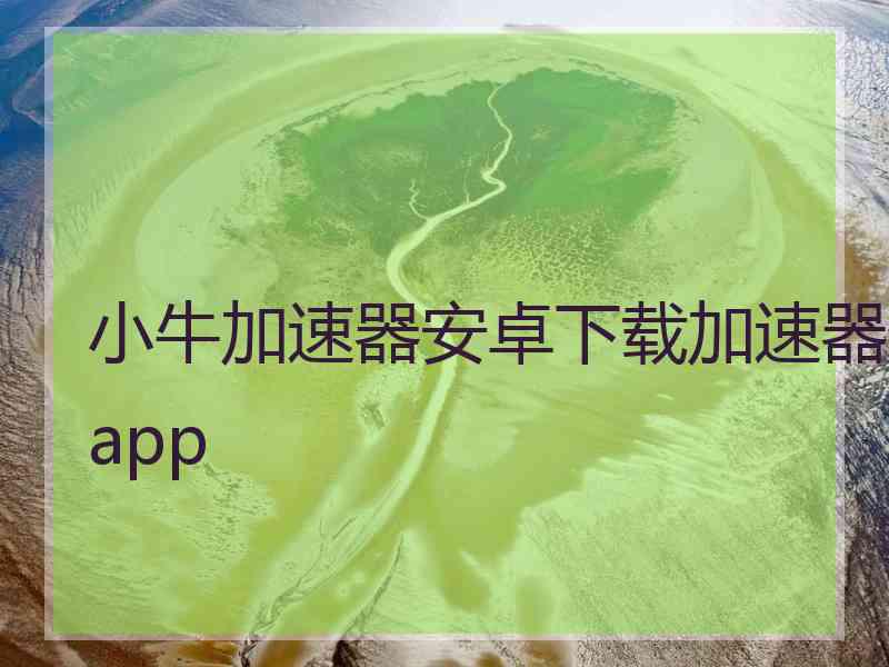 小牛加速器安卓下载加速器app