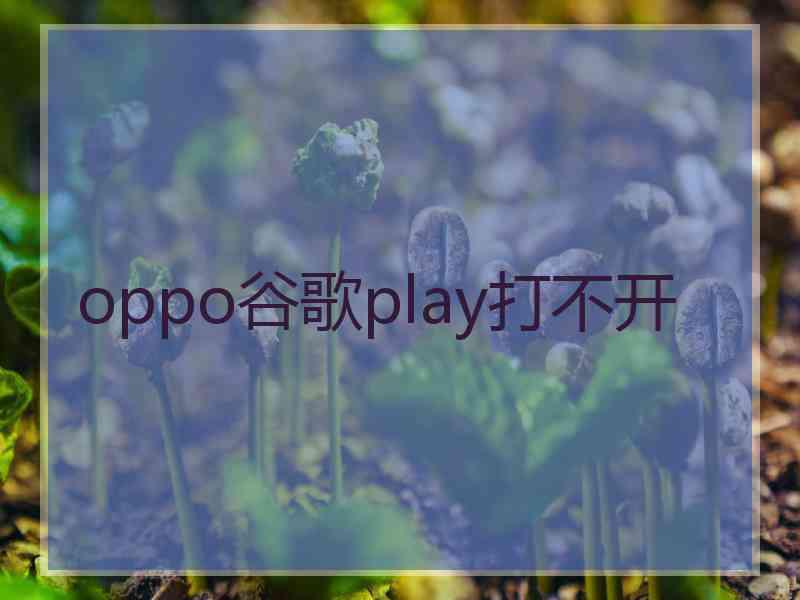 oppo谷歌play打不开