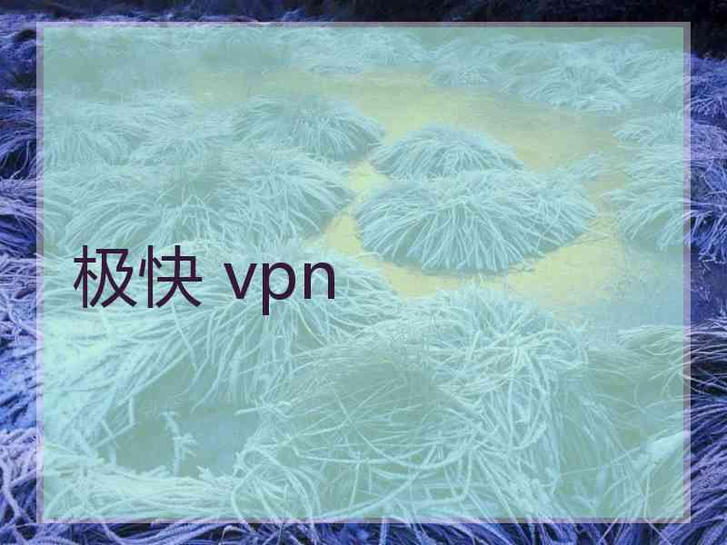 极快 vpn