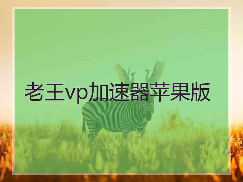 老王vp加速器苹果版