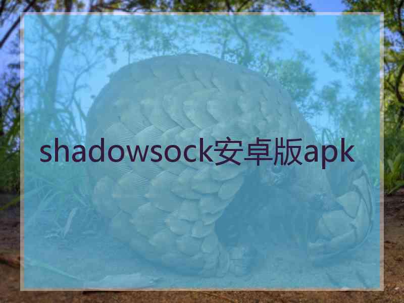 shadowsock安卓版apk