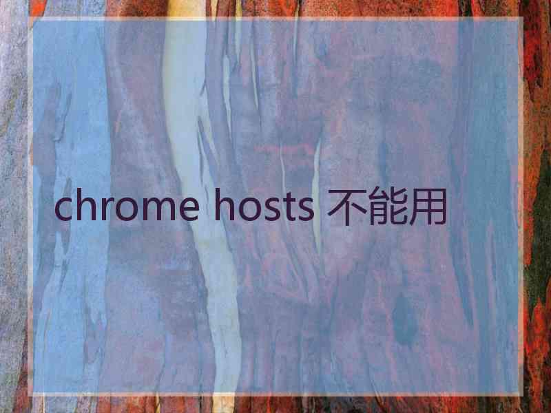 chrome hosts 不能用