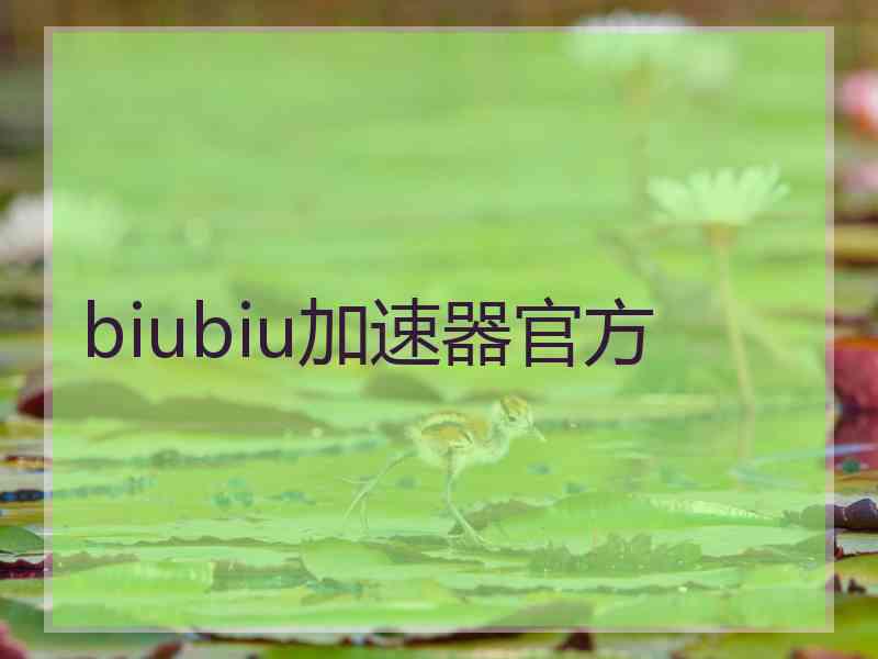 biubiu加速器官方