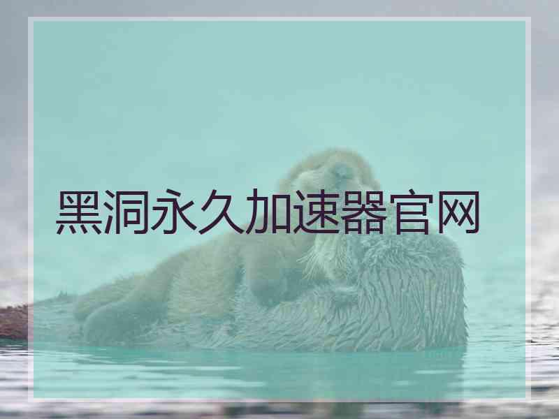 黑洞永久加速器官网