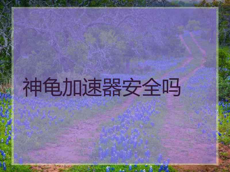 神龟加速器安全吗