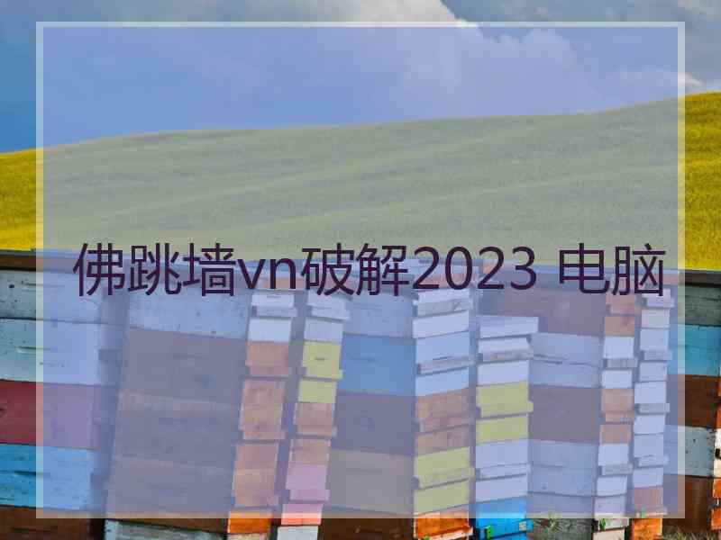 佛跳墙vn破解2023 电脑