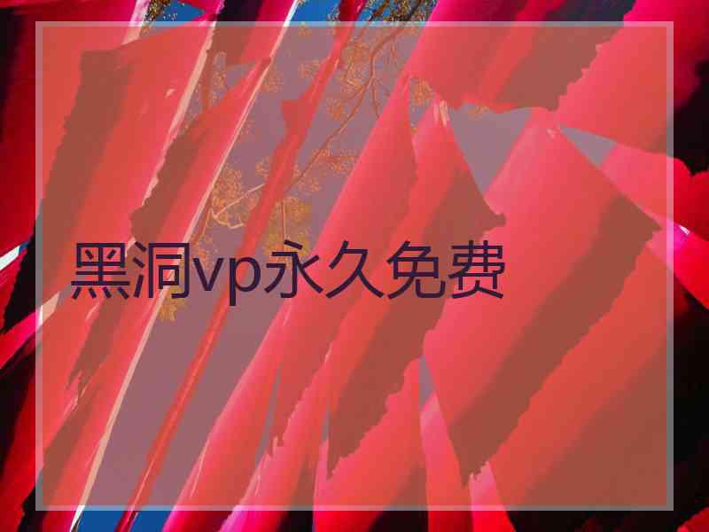 黑洞vp永久免费