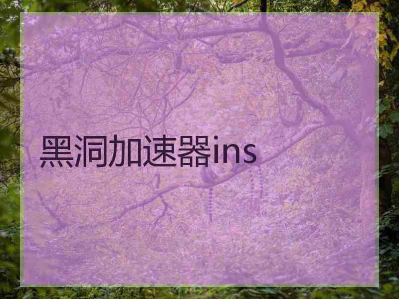 黑洞加速器ins