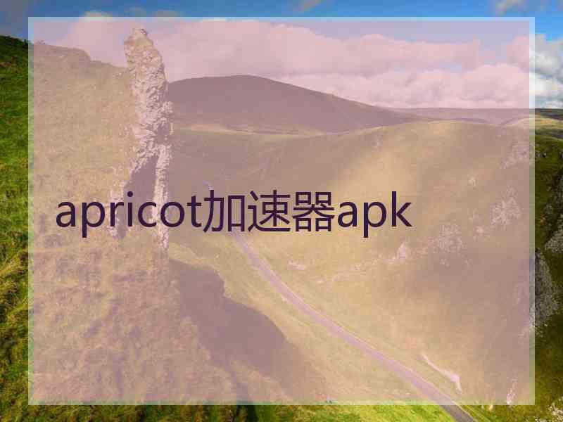 apricot加速器apk