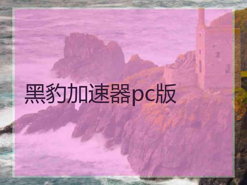 黑豹加速器pc版