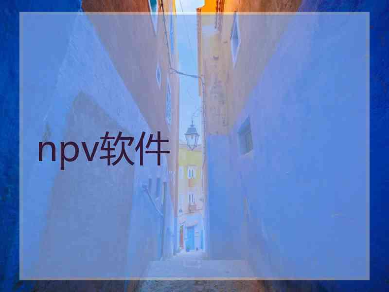 npv软件