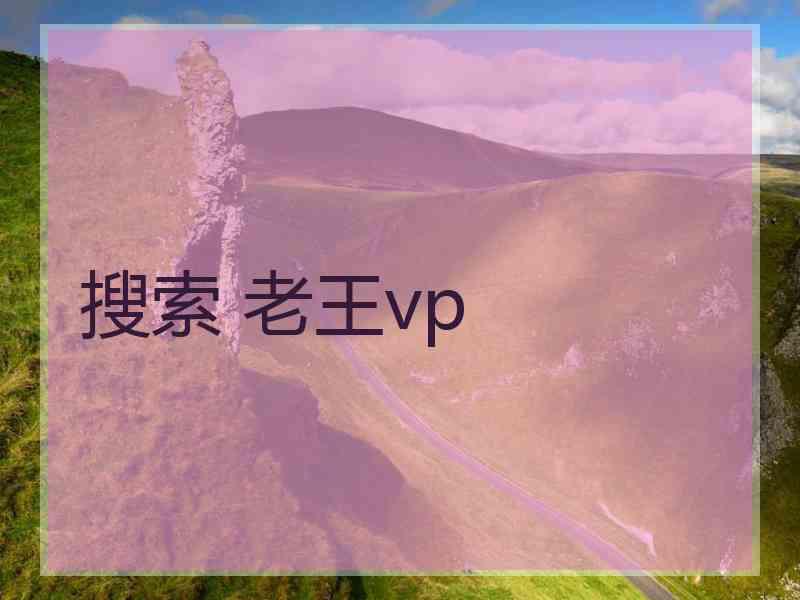 搜索 老王vp