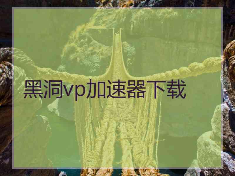 黑洞vp加速器下载