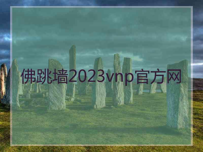 佛跳墙2023vnp官方网