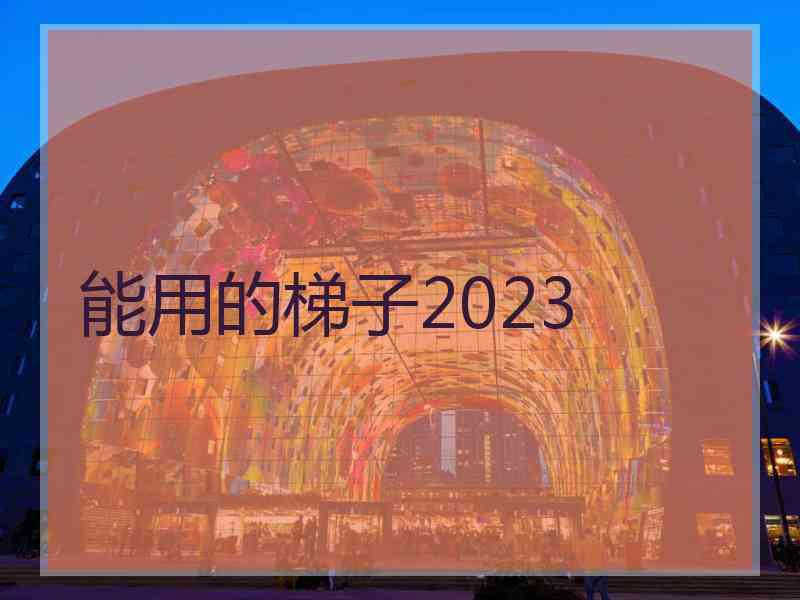 能用的梯子2023