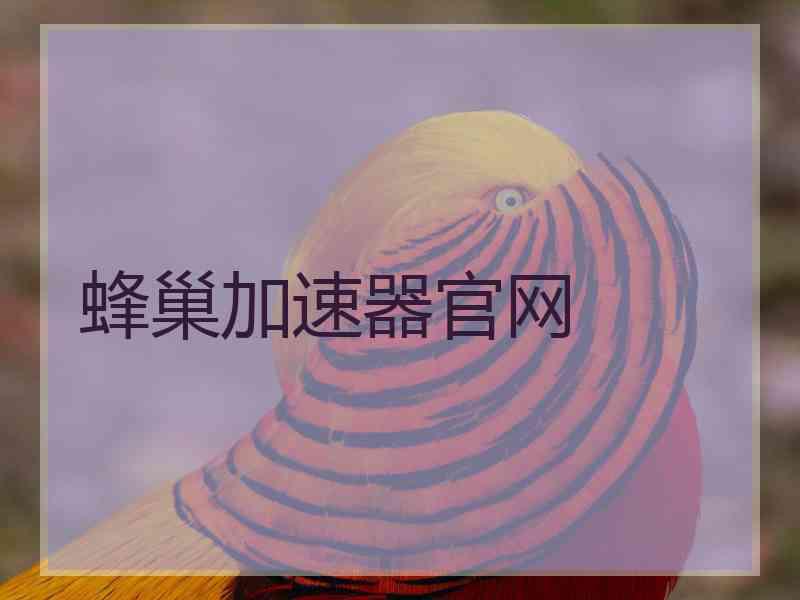 蜂巢加速器官网