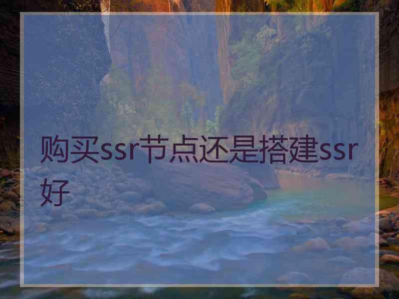 购买ssr节点还是搭建ssr好