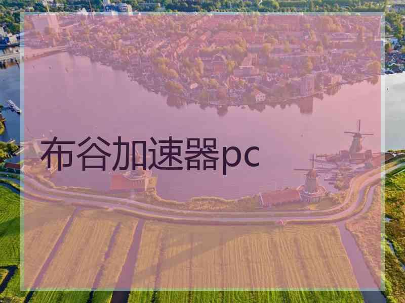 布谷加速器pc