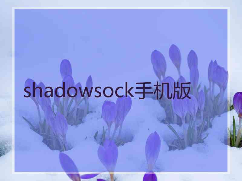 shadowsock手机版