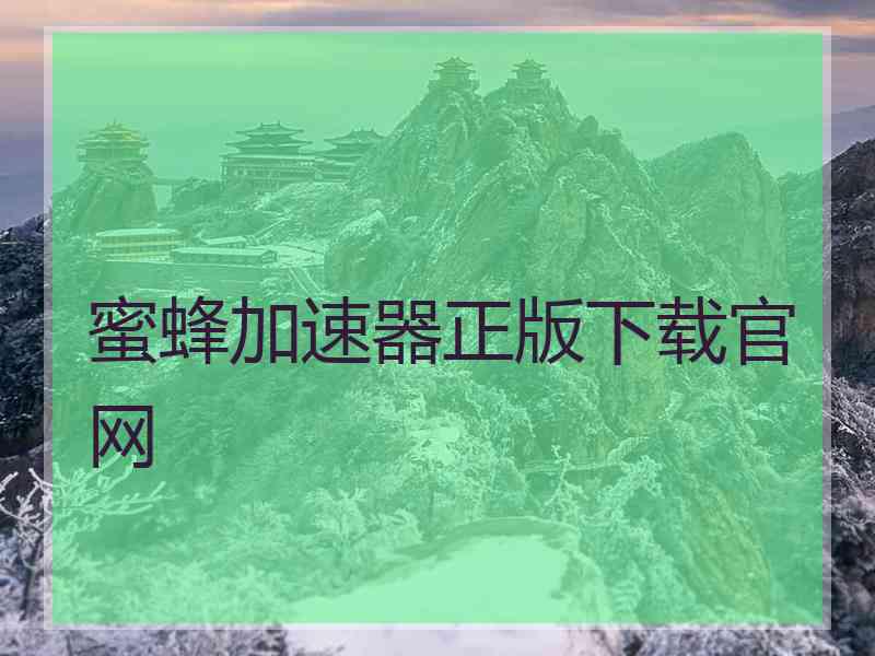 蜜蜂加速器正版下载官网