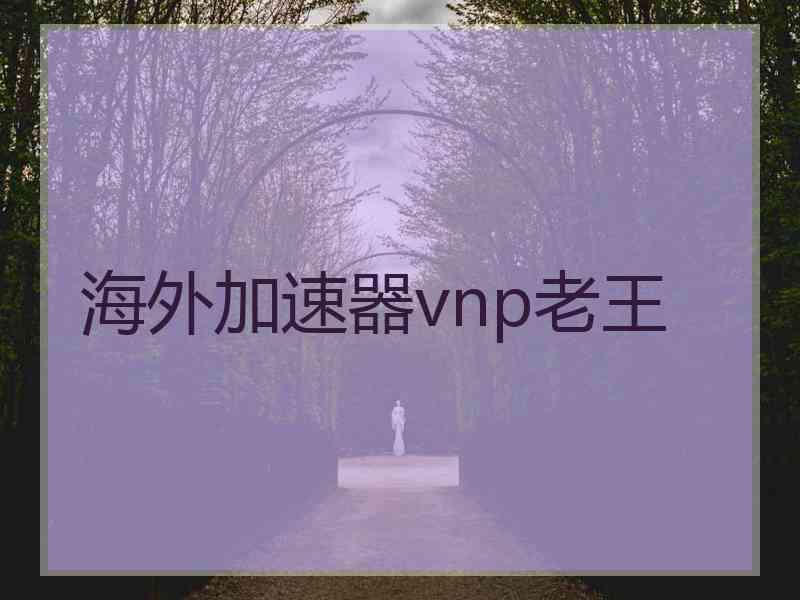 海外加速器vnp老王