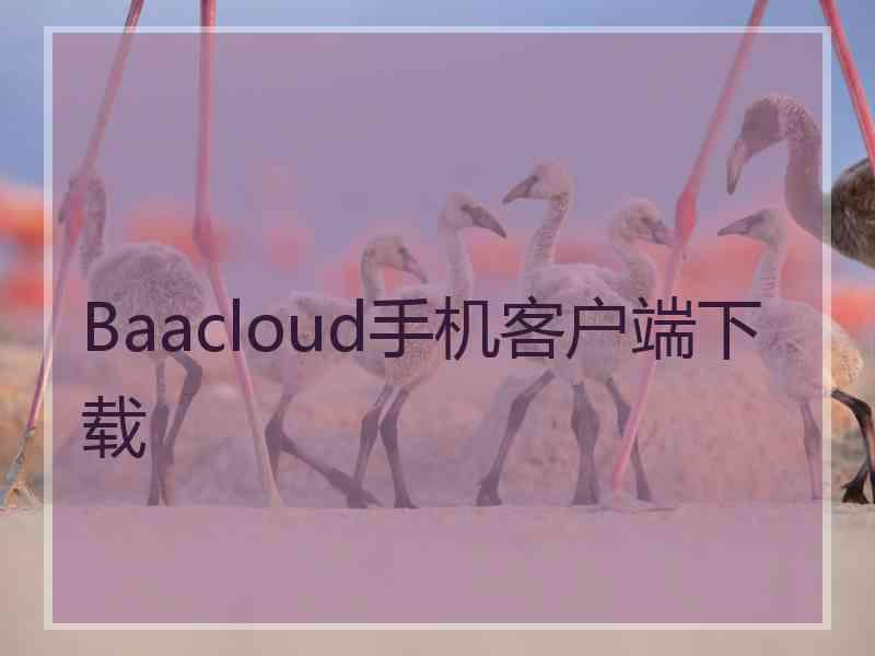 Baacloud手机客户端下载